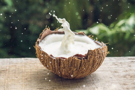 RECEITA DE LEITE DE COCO