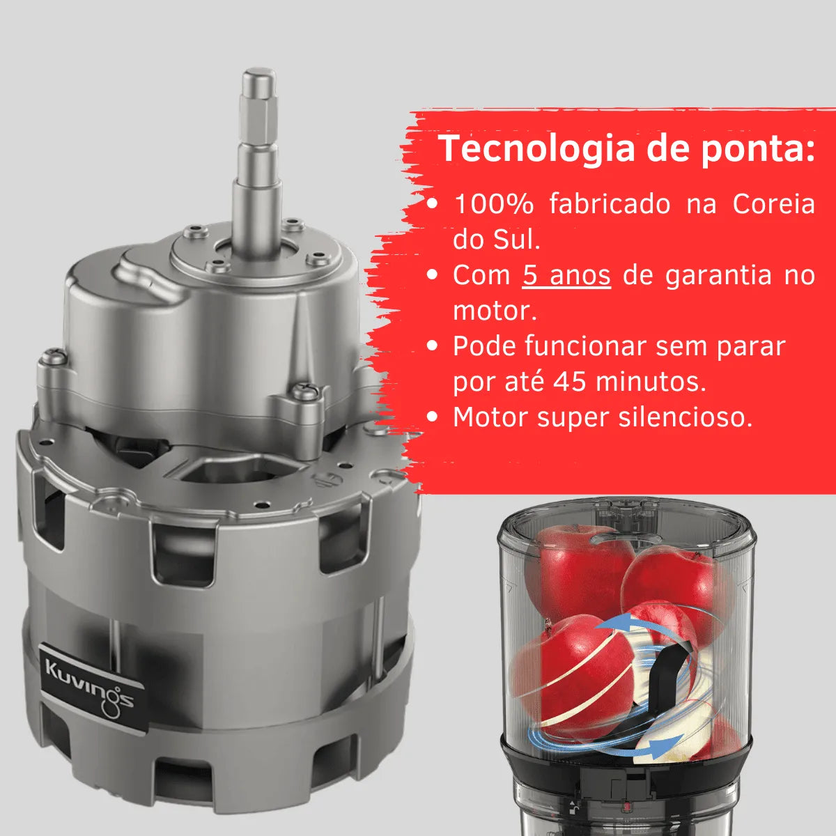 Extrator prensado a frio AUTO10